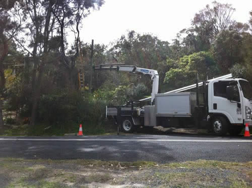 Power pole replacement
